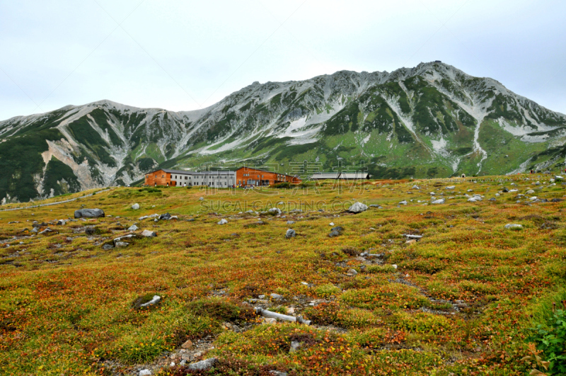 日本,立黑山部阿尔卑斯山脉路线,富山县,叶子,秋天,国内著名景点,旅途,著名自然景观,东亚,休闲活动