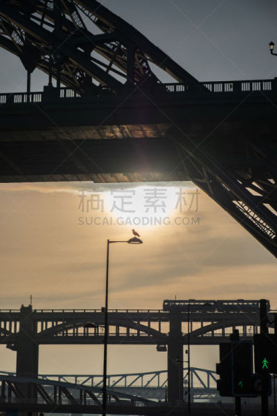 平视角,英格兰,纽卡素,海洋,海鸥,路灯,高大的,泰恩河,桥,横截面