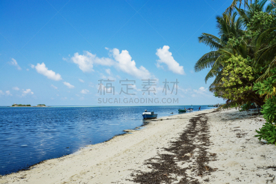 海滩,渔船,自然美,华贵,热带气候,印度次大陆,云,印度洋,船,波浪