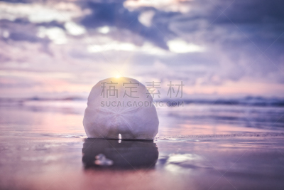 沙钱,黎明,波浪,米特海滩,选择对焦,留白,水平画幅,沙子,无人,夏天
