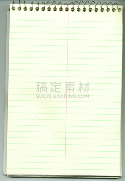速记员,空白的,笔记本,速记机,铭刻家,身材矮小,螺旋记事本,垂直画幅,消息,计算机制图