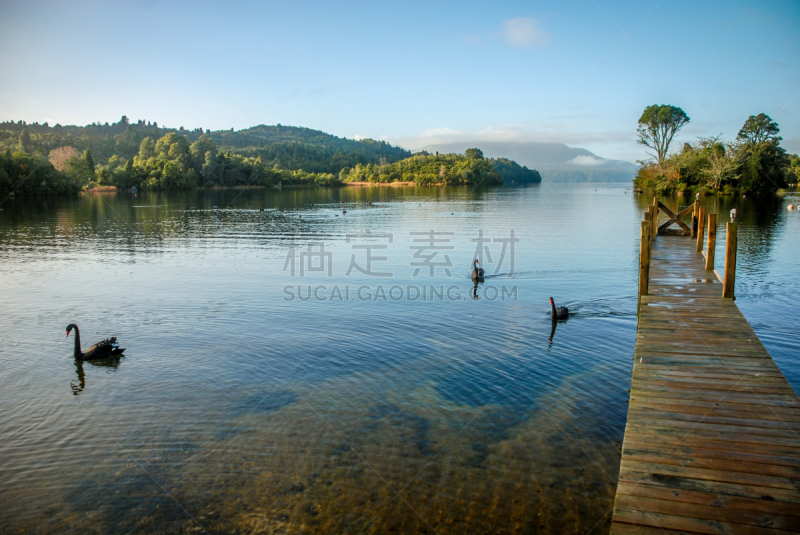 码头,木制,新西兰,lake tarawera,北,水,天空,水平画幅,无人,鸟类