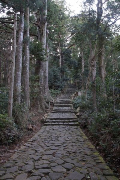 熊野古道,日本,和歌山县,海上航道,山,世界遗产,环境保护,小路,户外,天空