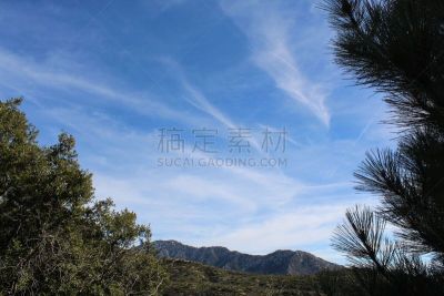松树,圣乐博山脉,风,活力,云景,韧性,云,山地森林,户外,诗人