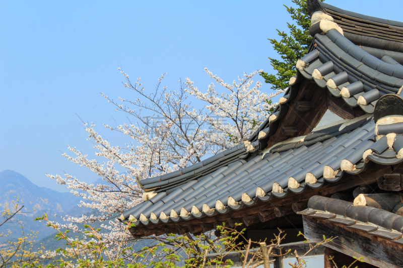 屋顶,韩屋,天空,水平画幅,传统,古老的,旅行者,户外,居住区,全州市