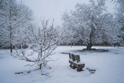 公园,雪,自然,长椅,寒冷,美国,水平画幅,无人,户外,北美