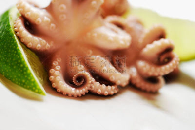 特写,酸橙,章鱼,切片食物,白色背景,褐色,水平画幅,开胃品,膳食,海产
