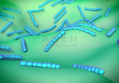 细菌,艺术品,阳性细菌,革兰氏染色剂,喉咙痛,链球菌,水平画幅,微生物学,绘画插图,教育科目