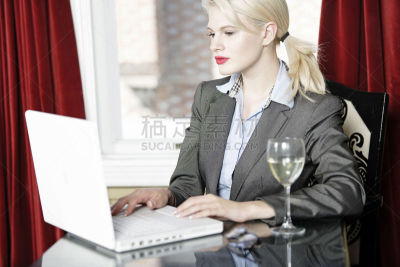 女人,使用手提电脑,酒馆,葡萄酒,笔记本电脑,水平画幅,会议,情绪压力,含酒精饮料,饮料