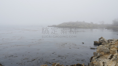 加利福尼亚,自然,美国,罗博斯角州立保护区,州,卡麦尔,野生动物保护区,野生动物,环境,草