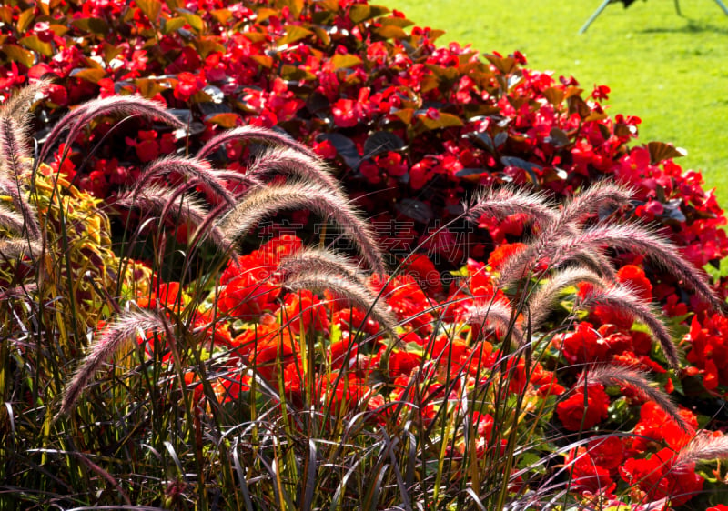 red Flower park