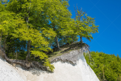 悬崖,岛,白垩,,施图本卡默,white cliffs,吕根岛,梅克伦堡前波莫瑞州,水,天空
