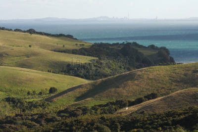 丘陵起伏地形,威廉莎士比亚,省立公园,hauraki gulf islands,奥克兰区,草地,半岛,水平画幅,山,无人
