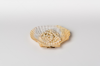 一个物体,贝壳,海扇,珍珠项链,圆齿双髻鲨,斯利福德,水平画幅,软体动物,俄罗斯,摄影