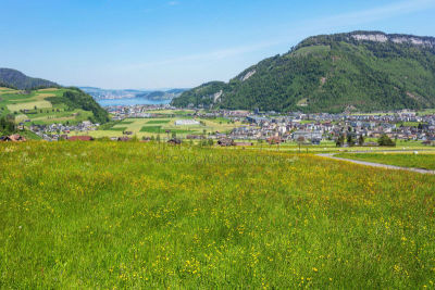 风景,瑞士,春天,下瓦尔登,广州,天空,水平画幅,山,无人,毛莨科