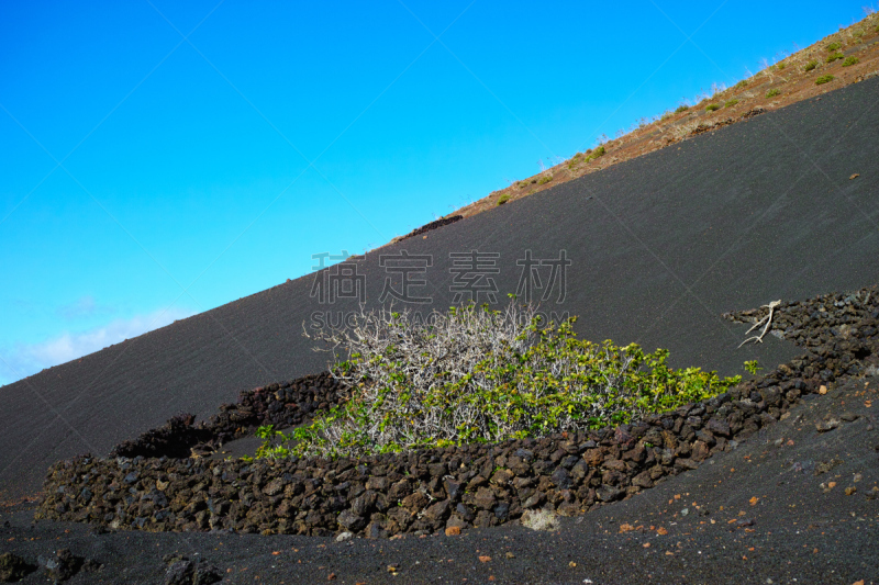 兰萨罗特岛,timanfaya national park,金丝雀,西班牙,看风景,海上航道,导游,天空,水平画幅,山