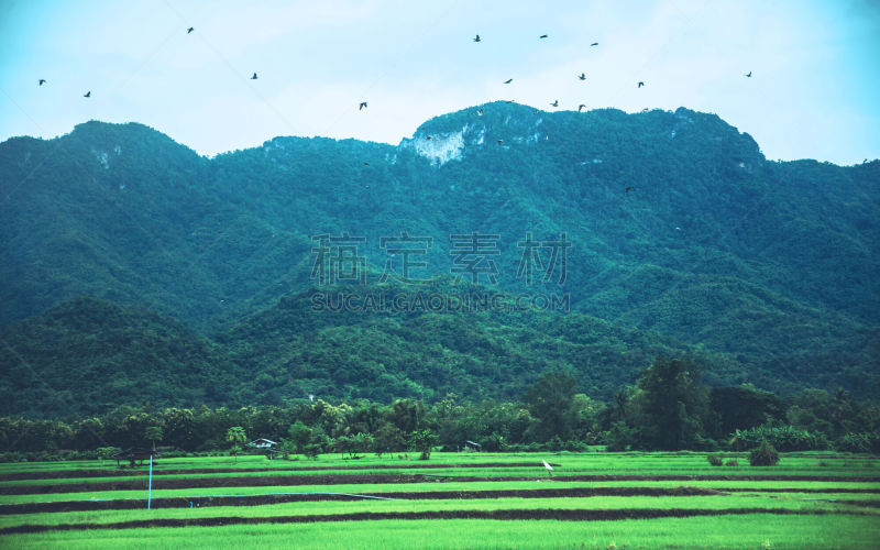 鸟类,天空,自然,田地,地形,山,公亩,季节,农业,卡斯特利翁省