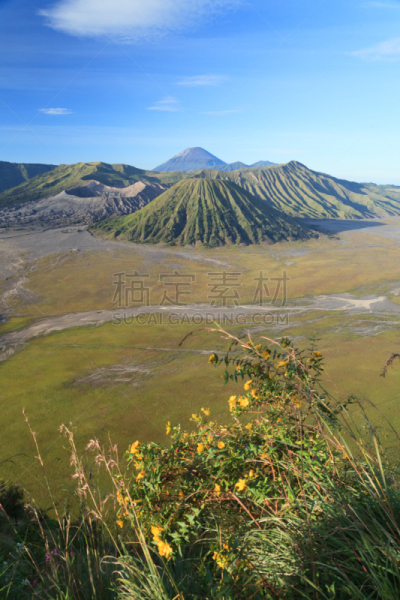 山,火山,婆罗摩火山,垂直画幅,早晨,Bromo-Tengger-Semeru National Park,户外,塞梅鲁火山,黎明,活动