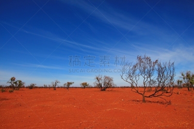 澳大利亚,沙漠,烧毁的,辛普森沙漠,东欧大草原,北领地州,西澳大利亚,偏远地区