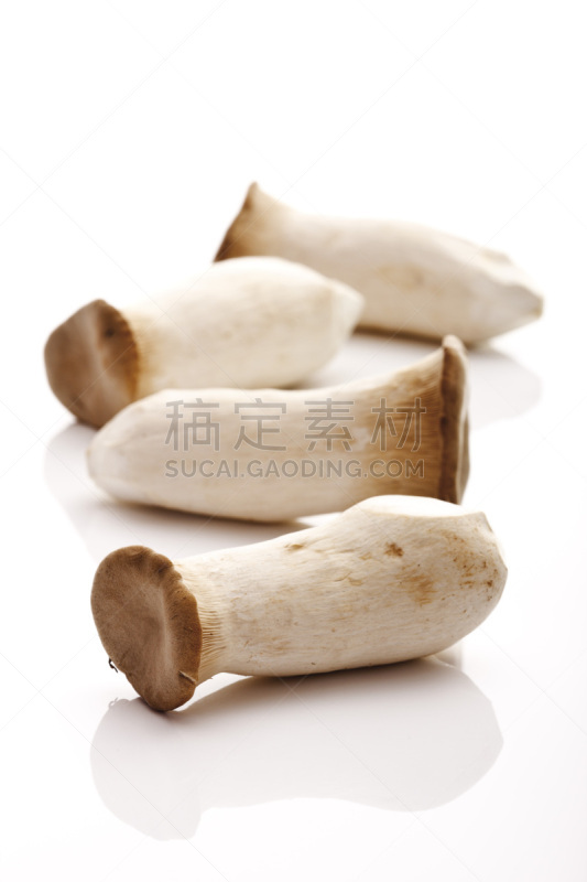 杏鲍菇,蘑菇,小号,蚝蘑,垂直画幅,褐色,生食,特写,活力,食用菌