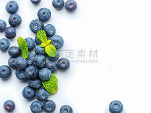 蓝莓,白色背景,分离着色,北蓝越橘,浆果,留白,高视角,食品杂货,素食,白色