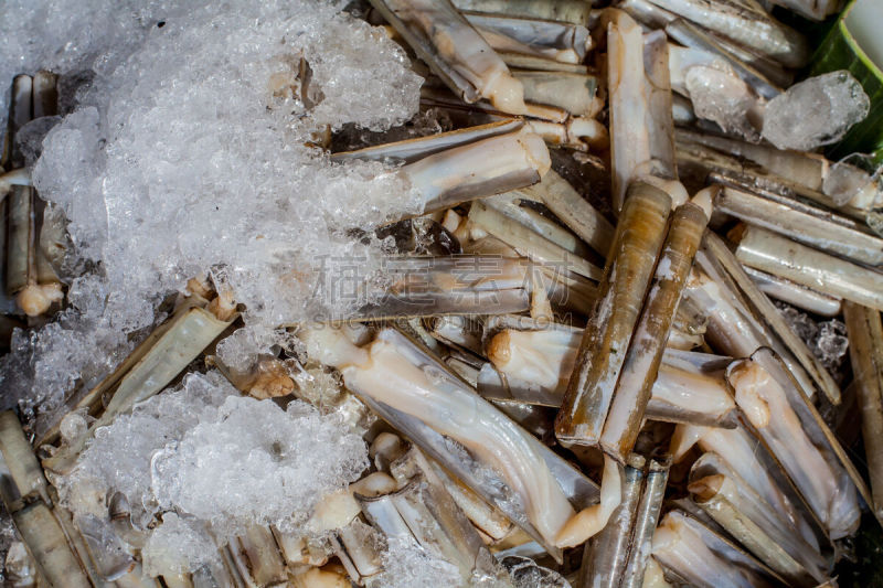 蛤蚌,剃刀,水平画幅,生物,软体动物,蛏,凉拌卷心菜,海产,市场,货摊