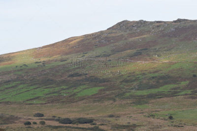 中世纪时代,田地,bodmin moor,褐色,康沃尔,图像,英国,无人,山,摩尔人风格