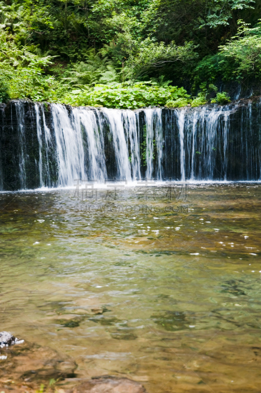 瀑布,przewalski,shiraito falls,垂直画幅,留白,长野县,无人,夏天,户外,湖