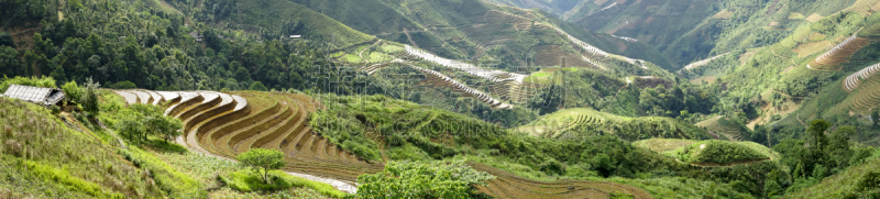 高处,越南,地形,梯田,居住区,有色人种,山脉,山罗省,计程车车站,飘然