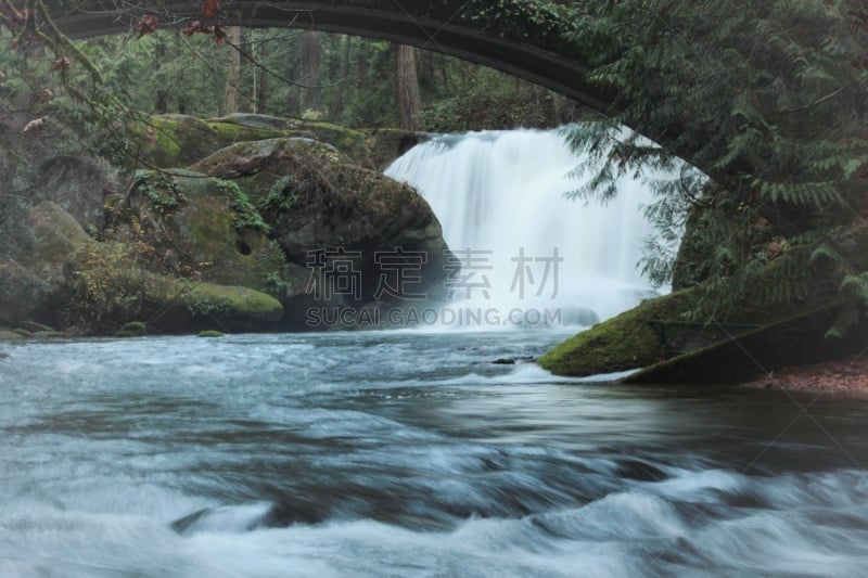 华特康县,自然美,华盛顿州,紧迫,灵感,步行道路,公园,春天,流水,河流