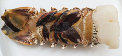 龙虾尾,大螯虾,缅因州,肉,海产,食品,全景,图像,海洋,美国