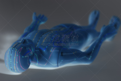 针灸模型,健康保健,人,灰色背景,针灸,胸部,替代疗法,辅导讲座,水平画幅,井