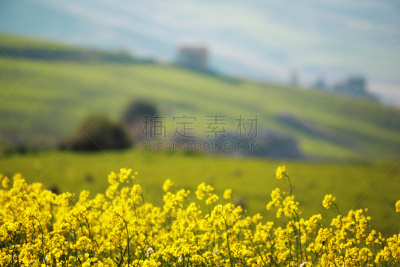 地形,水平画幅,无人,户外,克莱奥内,巴勒莫,田地,彩色图片,山,自然