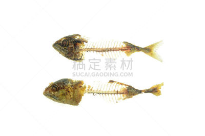 罗非鱼,鲭鱼,动物骨,垃圾,水平画幅,无人,膳食,海产,清新,鱼类