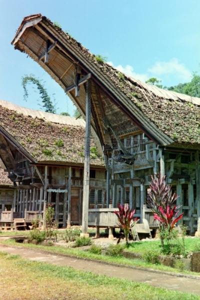 塔纳托拉雅,苏拉威西,乡村,90年代风格,居住区,传统,印尼民居,南苏拉威西省,1991,特拉加
