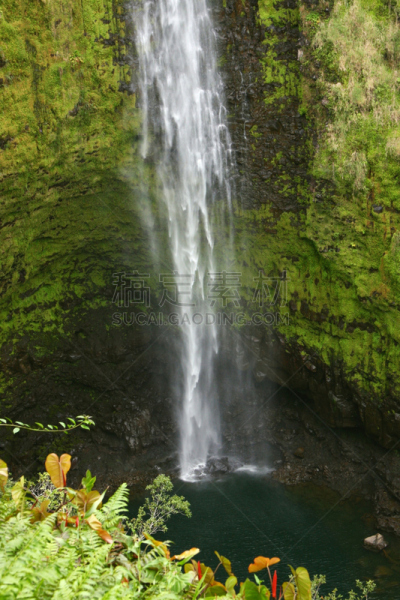 瀑布,夏威夷大岛,阿卡卡瀑布州立公园,哈玛库亚海岸,垂直画幅,水,留白,无人,当地著名景点,户外