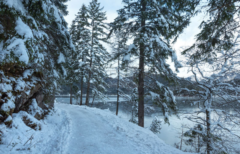 艾博湖,湖,冬天,雪,水面,小路,杉树,2015年,户外,天空