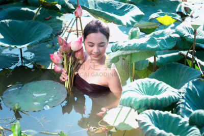 荷花,园林,女人,亚洲,生活方式,农民,水,美,水平画幅,美人