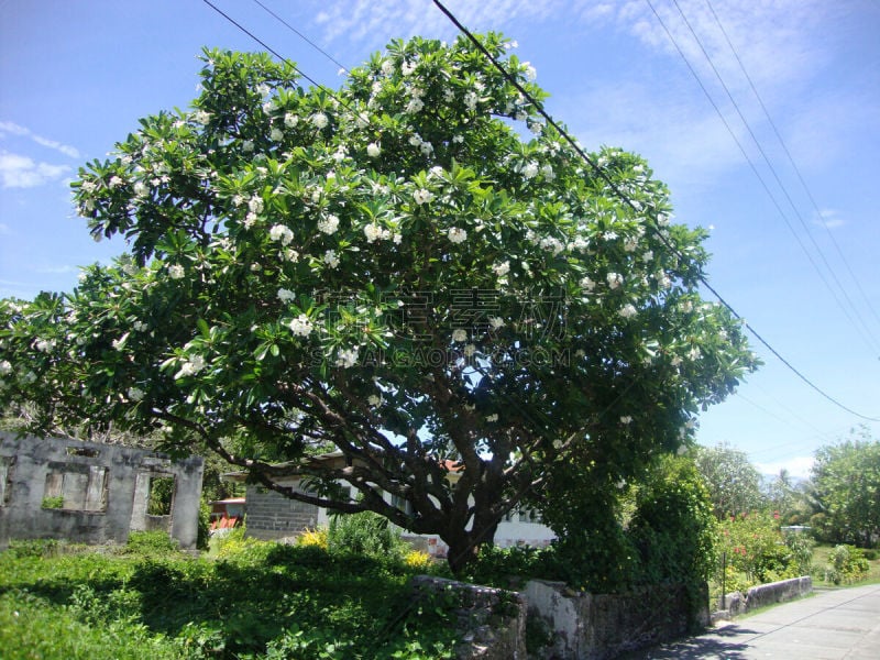 土阿莫土群岛,法属玻利尼西亚,水,天空,美,度假胜地,水平画幅,沙子,无人,夏天