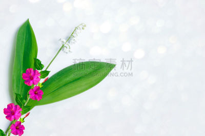 铃兰,美,水平画幅,无人,五月,夏天,特写,百合花,俄罗斯,花束