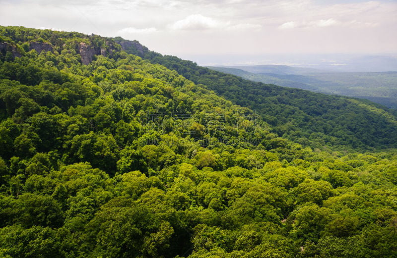 州立公园,山,欧扎克山脉,温带雨林,俄克拉荷马,阿肯色州,密苏里,自然,高原