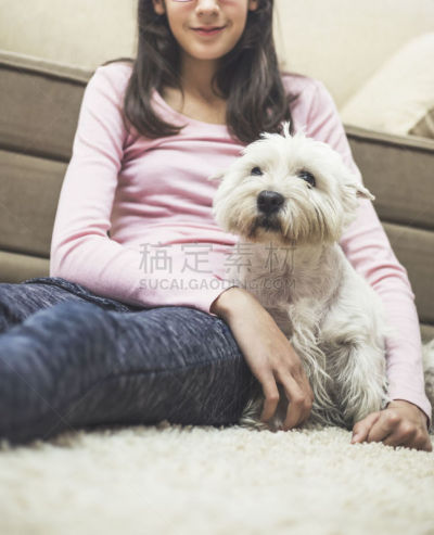 狗,少女,头枕臂,西高地白猎犬,宠物主人,梗犬,垂直画幅,青少年,动物身体部位,地毯