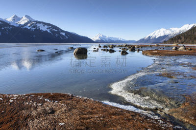 河口,冬天,阿拉斯加东南半岛,奇尔卡特河,海草,阿拉斯加,雪,墨西哥湾沿岸国家,河流,海湾