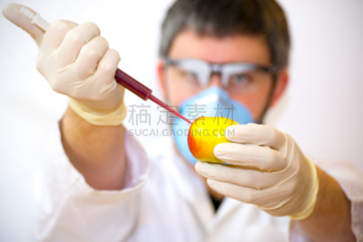 转基因,科学家,再结合,水平画幅,科学实验,科学,实验室,仅男人,仅成年人,危险