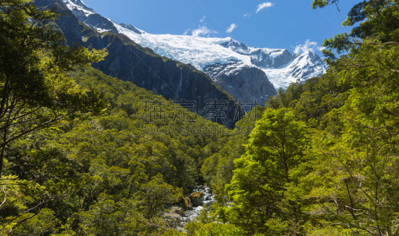 宏伟,风景,罗布罗伊冰川步道,阿斯匹林山,雪地,瓦纳卡,高地,山毛榉树,天空,水平画幅