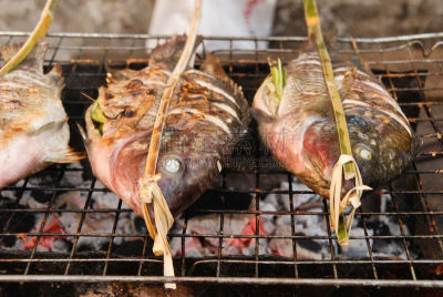 罗非鱼,鱼类,格子烤肉,芳香的,水平画幅,无人,烘焙糕点,海产,动物身体部位,特写