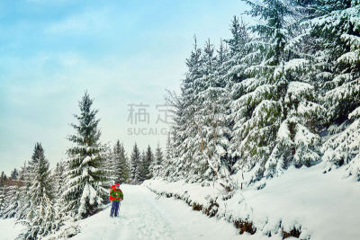 冬天,徒步旅行,雪,小路,森林,运动,从容态度,户外,高处,幸福