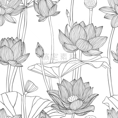 荷花,矢量,式样,睡莲,无人,绘画插图,夏天,四方连续纹样,模板,花蕾