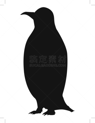 企鹅,南极,寒冷,背景分离,野生动物,自然美,动物,鸟类,杆,背景