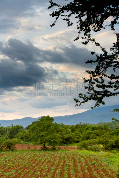 Sierra Gorda de Querétaro